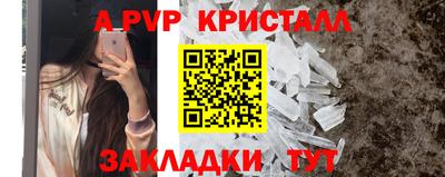 СК Тверь
