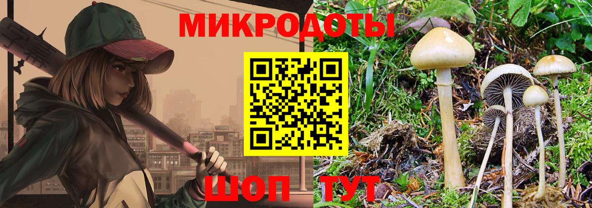 Новоалександровск  Псилоцибиновые грибы Magic Shrooms  Вход с VPN  Псилоцибиновые грибы Psilocybe 