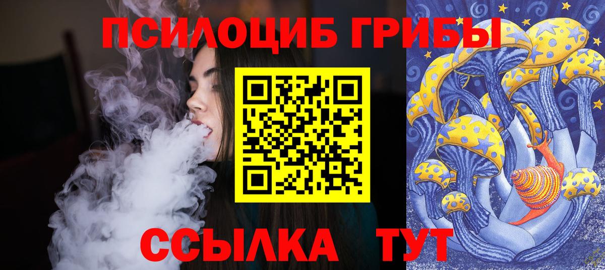 Псилоцибиновые грибы Magic Shrooms Новоалександровск